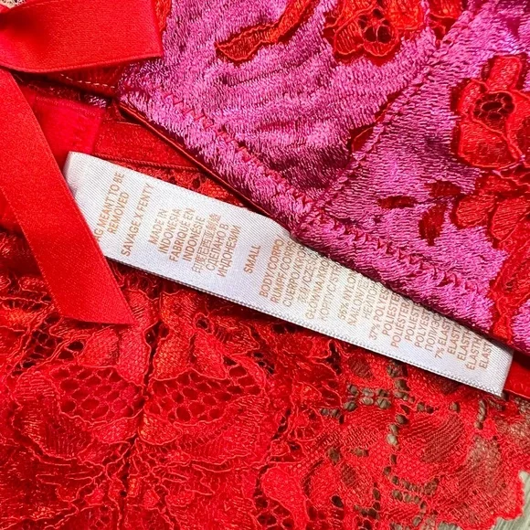 Savage X Fenty Red & Fuchsia Lace Push-Up Bra and Bikini Set - Picture 3 of 3